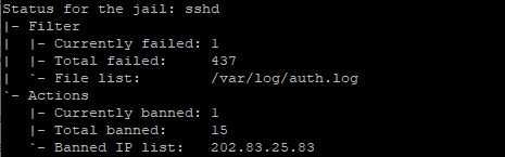 Screenshot showing which IP addresses are currently banned