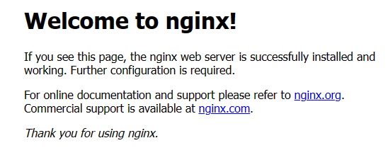 Screenshot NGINX Success Message